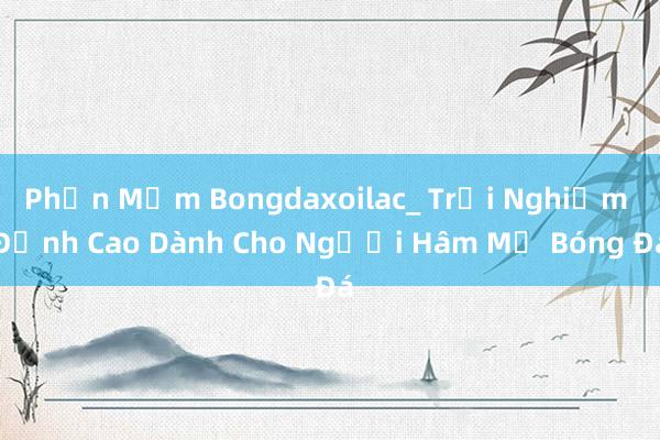 Phần Mềm Bongdaxoilac_ Trải Nghiệm Đỉnh Cao Dành Cho Người Hâm Mộ Bóng Đá