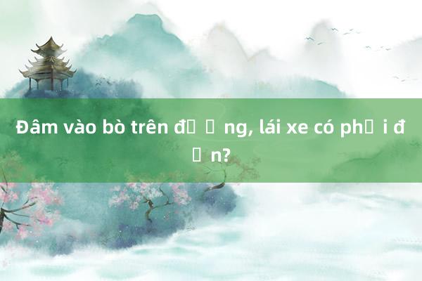 Đâm vào bò trên đường， lái xe có phải đền?