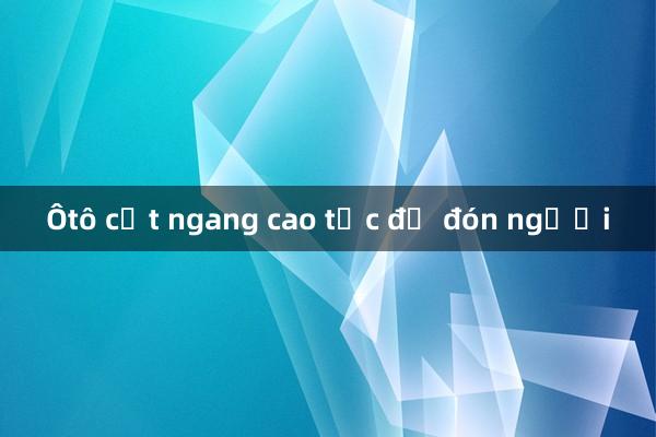 Ôtô cắt ngang cao tốc để đón người