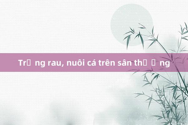 Trồng rau， nuôi cá trên sân thượng