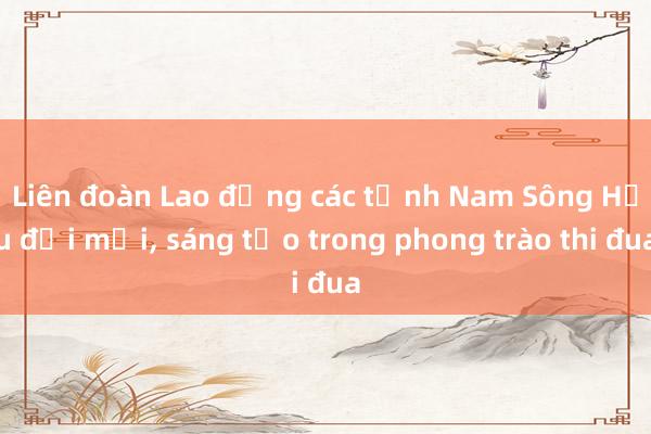 Liên đoàn Lao động các tỉnh Nam Sông Hậu đổi mới， sáng tạo trong phong trào thi đua