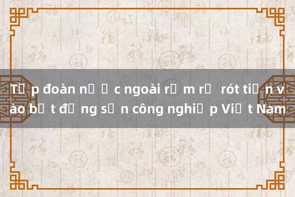 Tập đoàn nước ngoài rầm rộ rót tiền vào bất động sản công nghiệp Việt Nam