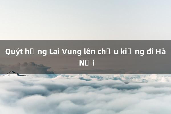 Quýt hồng Lai Vung lên chậu kiểng đi Hà Nội